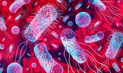 Her 5 Ölümden Birinin Nedeni O Hastalık! Sepsis Nedir?