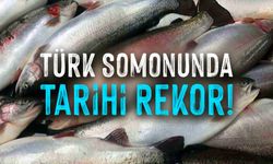 Türk Somonuna Talep Patladı mı? 8 Ayda Gelen Rakam Şaşırttı!