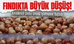 Fındıkta Büyük Düşüş! Karadenizli Üretici Umudu İşletmelere Bağladı