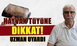 Hayvan Tüyüne Dikkat! Prof. Dr. Özlü Uyardı...