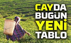 Çayda Bugün Fiyat Şoku: ÇAYKUR ve Özel Sektör Arasındaki Fark Dikkat Çekti