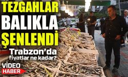 Rize’de Balık Sezonu Bollukla Açıldı: Hamsi 300, Mezgit 100 TL