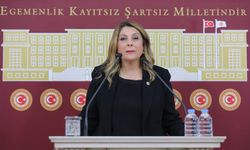CHP'li Gezmiş, Giresun'a İstiklal Madalyası verilmesini istedi
