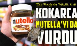 Nutella’nın Üreticisi Türkiye’den Fındık Almıyor; Ferrero Türkiye'den Fındık Alımını Durdurdu