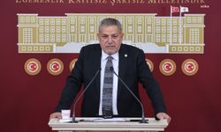CHP'li Ocaklı, Rize'de yapılması planlanan kafes tipi balık çiftlikleri projesine tepki gösterdi