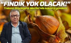Fındık tehlikede: Kahverengi kokarca için “milli mücadele” çağrısı