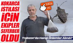 Gülcan Eroğlu Atölyesi'nden Renkli Sergi: Kuşakları ve Sanatseverleri Buluşturuyor
