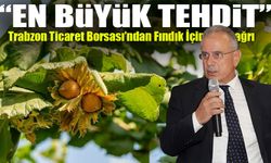 Fındıkta Kalite Alarmı: Kahverengi Kokarca ile Mücadele Şart