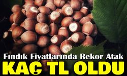 Fındık Fiyatlarında Rekor Atak: Kilogram Başına Kaç TL Oldu?