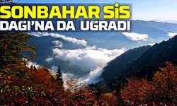 Sis Dağı’nda Sonbahar Renk Cümbüşü: Doğa Tutkunları Akın Ediyor