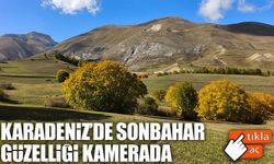 Karadeniz'de Sonbahar İlk Zekerya Köyü’ne Uğradı: Renkler Göz Kamaştırıyor
