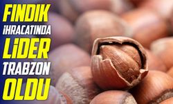 Fındık İhracatında Lider Trabzon Oldu: Toplam İhracatın Yüzde 30’u
