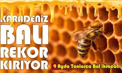 Karadeniz Balı 11 Ülkeye Ulaştı; Doğu Karadeniz’in 9 Aylık Bal İhracatı 1,7 Milyon Doları Aştı