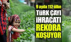 Türk çayı ihracatı 9 ayda 22 milyon doları aştı