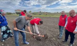 19 Mayıs ilçesinde çiftçilere toprak analizi eğitimi verildi