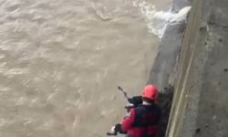 Derede mahsur kalan köpeği itfaiye ekibi kurtardı