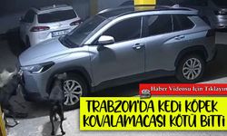 Güvenlik kamerası izlenince gerçek ortaya çıktı: Köpekler araca zarar verdi