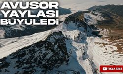 İskandinavya Değil Rize: Avusor Yaylası Görenleri Büyülüyor