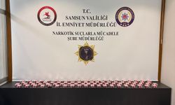 Samsun'da 7 bin 300 uyuşturucu hap ele geçirildi