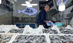 Bayburt’ta balıklar tezgâhlarda yerini aldı