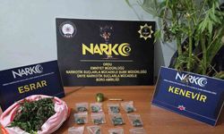 Ordu’da uyuşturucu operasyonlarında 2 tutuklama