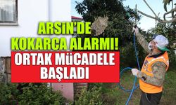 Arsin'de Kokarca Alarmı! Ortak Mücadele Başladı...