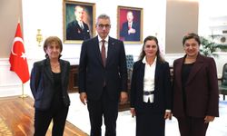 Epilepsi Derneği Başkanı Ebru Öztürk: “Gri Işık, Mor Işık Oldu!”