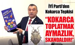 Kahverengi Kokarca Skandalı: Yavuz Aydın’dan Sert Tepki