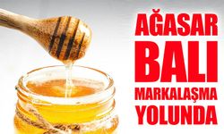 Ağasar Balı Markalaşma Yolunda: 2026’da Coğrafi İşaret Hedefi