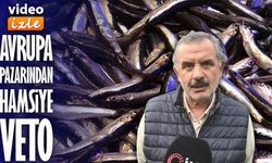 Hamsi ihracatına boy engeli: Avrupa pazarı küçük balığı almıyor