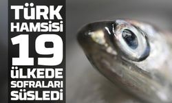 Türk Hamsisi 19 Ülkede Sofraları Süsledi: 9 Ayda 11,3 Milyon Dolarlık İhracat