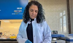 Bor Destekli Yara Örtüsü Nedir? Diyabete Çözüm mü?