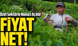 ÇAYKUR 2025 Yaş Çay Fiyatı Netleşti: Özel Sektörle Makas Açıldı!