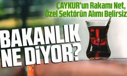 Bugün Çayda Fiyat Tartışması Alevlendi: ÇAYKUR’un Rakamı Net, Özel Sektörün Alımı Belirsiz