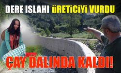Dere Islahı Üreticiyi Vurdu! Çay Dalında Kaldı...