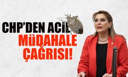CHP'den Acil Müdahale Çağrısı! Gezmiş Konuştu