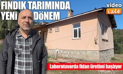 Giresun Üniversitesi fındık dokusundan soğuğa dayanıklı fidan üretecek