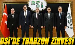 Ak Parti Trabzon Milletvekili Yılmaz Büyükaydın DSİ Genel Müdürü İle Değerlendirme Yaptı