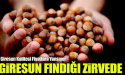 Giresun Fındığı 352 TL ile Türkiye Zirvesinde: Kalite Fiyatı Belirliyor