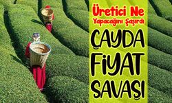 Çayda Fiyat Savaşı Başladı: Çayda Bugün Fiyat Farkı Zirvede!