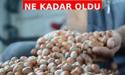 Bugün Fındık Fiyatları Ne Kadar Oldu? İl İl Güncel Fiyat Listesi Açıklandı