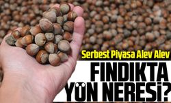 Serbest Piyasa Alev Alev: Bugün Fındık Fiyatları Yeniden Gündemde!