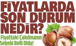 Fındık Fiyatlarında Sert Düşüş: Fiyattaki Çakılmanın Sebebi Belli Oldu!