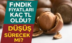 Fındık Fiyatları Neden Düştü? Fındıkta Düşüş Ne Kadar Sürecek?