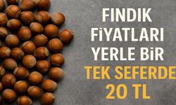 Fındık Fiyatları Yerle Bir: Tek Seferde 20 Lira Daha Silindi!