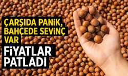 Bugün Fındık Fiyatları Patladı: Çarşıda Panik, Bahçede Sevinç Var