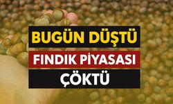 Fındık Piyasası Çöktü Fındık fiyatları bugün kaç TL oldu, serbest piyasada fındık fiyatları ne kadar?