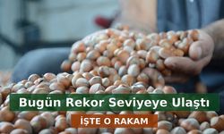 Fındık Fiyatları Bugün Rekor Seviyeye Ulaştı: İşte Güncel Rakamlar ve Yorumlar