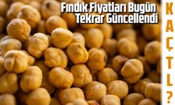 Fındık Fiyatları Bugün Tekrar Güncellendi: Yeni Fiyat Listesi Herkesi Şaşırttı!