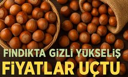 Fındıkta Gizli Yükseliş: Bugün Alım Merkezlerinde Fiyatlar Uçtu